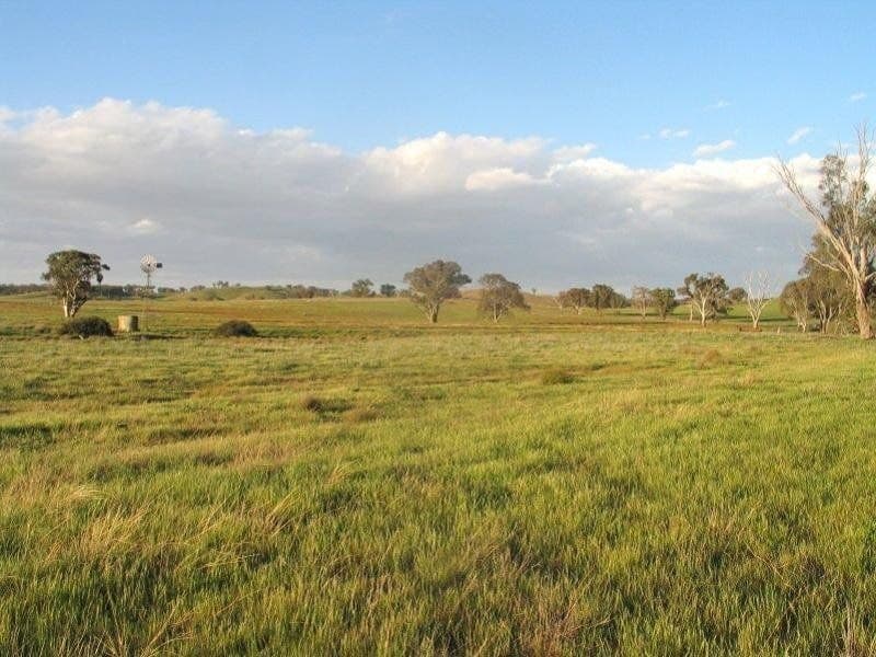 ORANGE NSW, Orange - Thumbnail 5