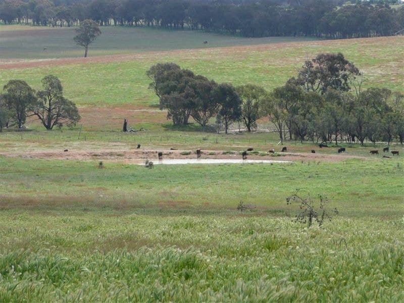 ORANGE NSW, Orange - Thumbnail 4
