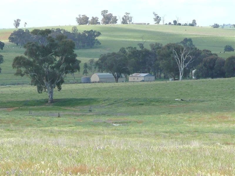 ORANGE NSW, Orange - Thumbnail 5