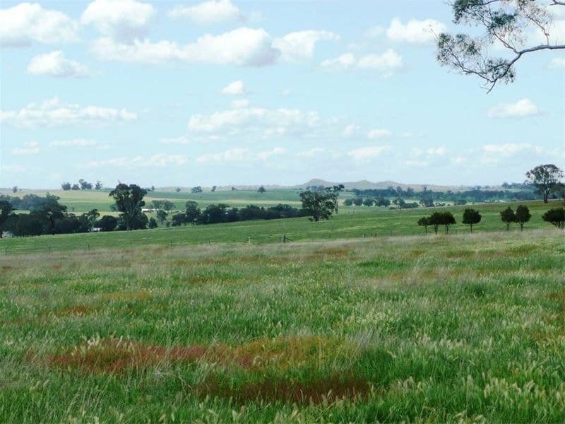ORANGE NSW, Orange - Thumbnail 7
