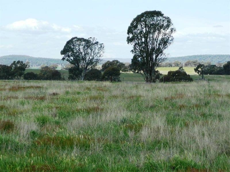 ORANGE NSW, Orange - Thumbnail 8