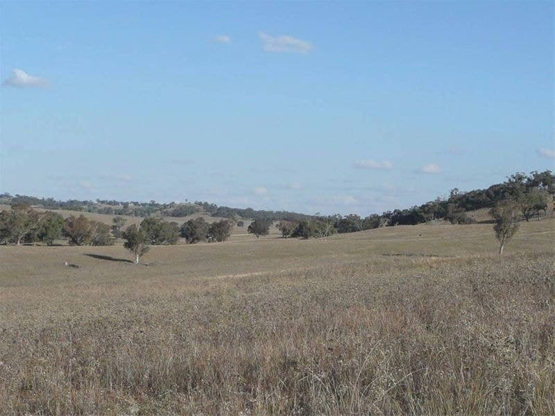 MOLONG NSW, Molong - Thumbnail 6