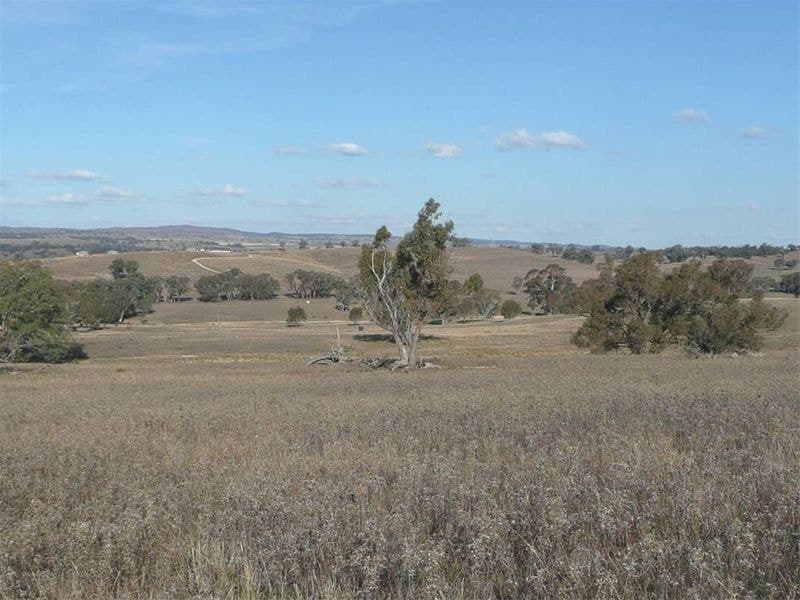 MOLONG NSW, Molong - Thumbnail 7
