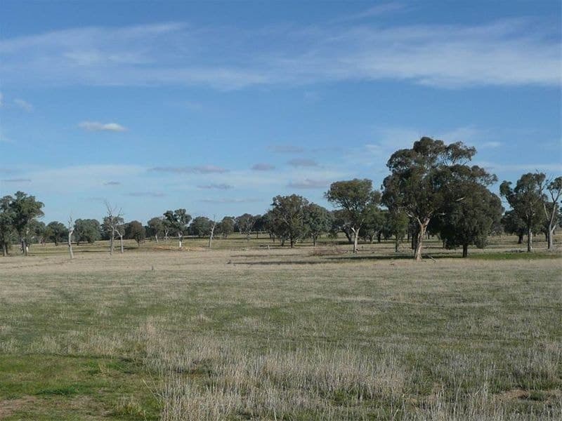 ORANGE NSW, Orange - Thumbnail 2