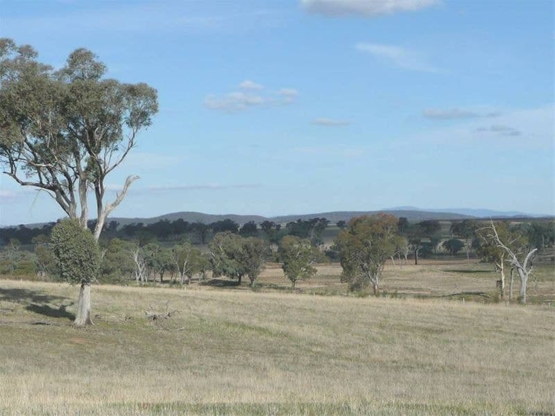 ORANGE NSW, Orange - Thumbnail 3
