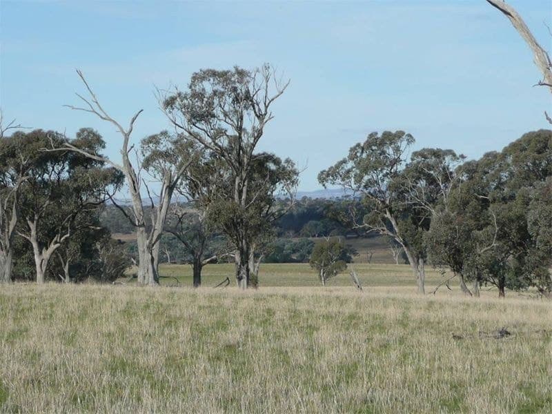 ORANGE NSW, Orange - Thumbnail 4