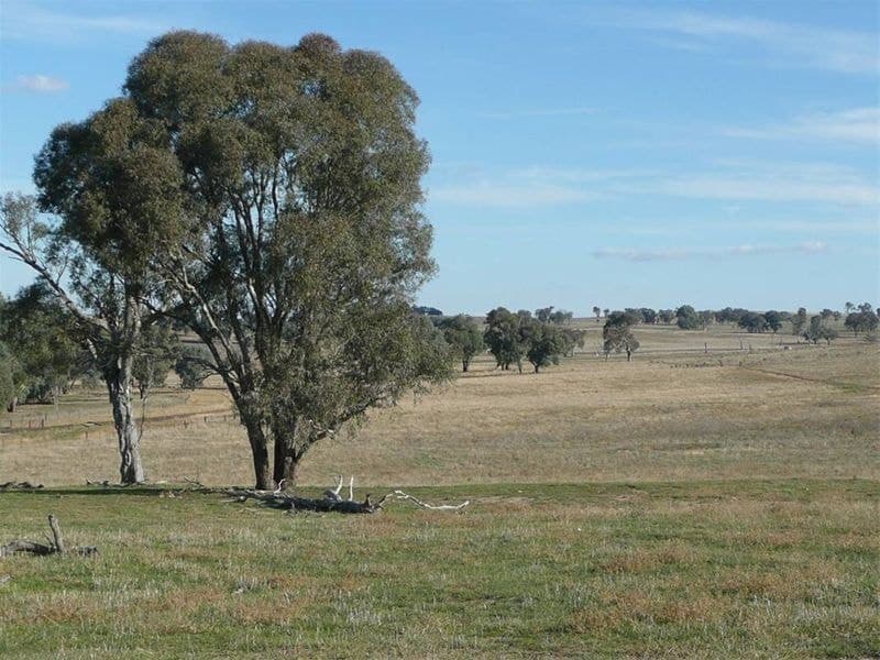 ORANGE NSW, Orange - Thumbnail 5