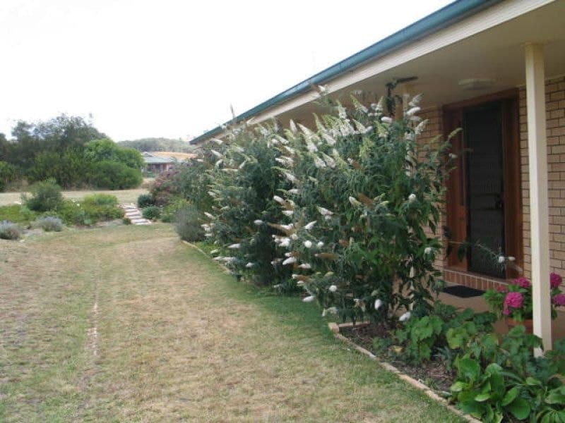 20 Johns Lane Emu Swamp ORANGE NSW, Emu Swamp Orange - Thumbnail 8