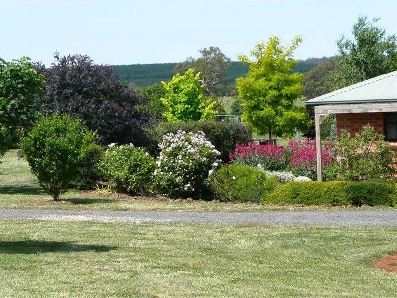 ORANGE NSW, Orange - Thumbnail 6