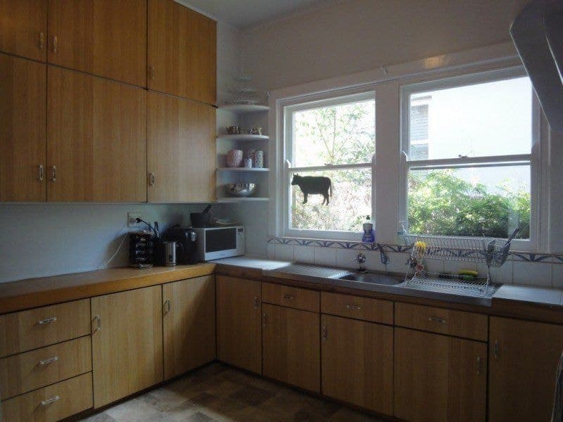 26 Casey Street ORANGE NSW, Orange - Thumbnail 5