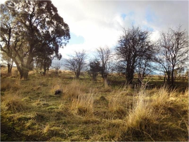 Lot 201 Canobolas Road ORANGE NSW, Orange - Image 1