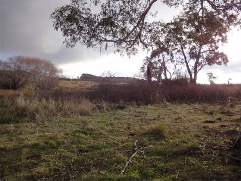 Lot 201 Canobolas Road ORANGE NSW, Orange - Thumbnail 2
