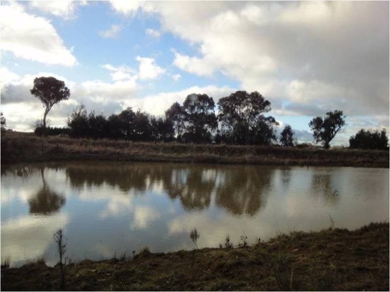 Lot 201 Canobolas Road ORANGE NSW, Orange - Thumbnail 3