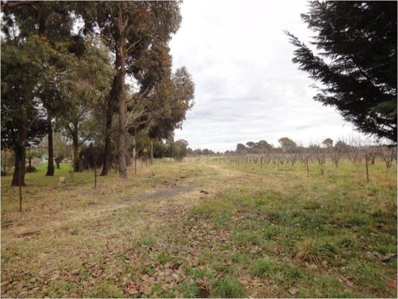 Lot 201 Canobolas Road ORANGE NSW, Orange - Thumbnail 4