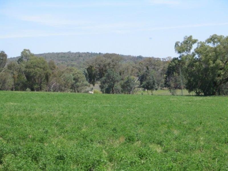ORANGE NSW, Orange - Thumbnail 3