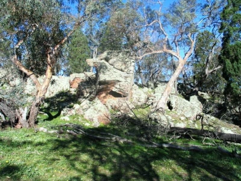 ORANGE NSW, Orange - Thumbnail 5