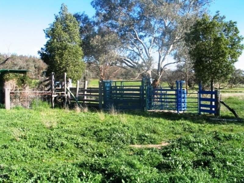 ORANGE NSW, Orange - Thumbnail 8