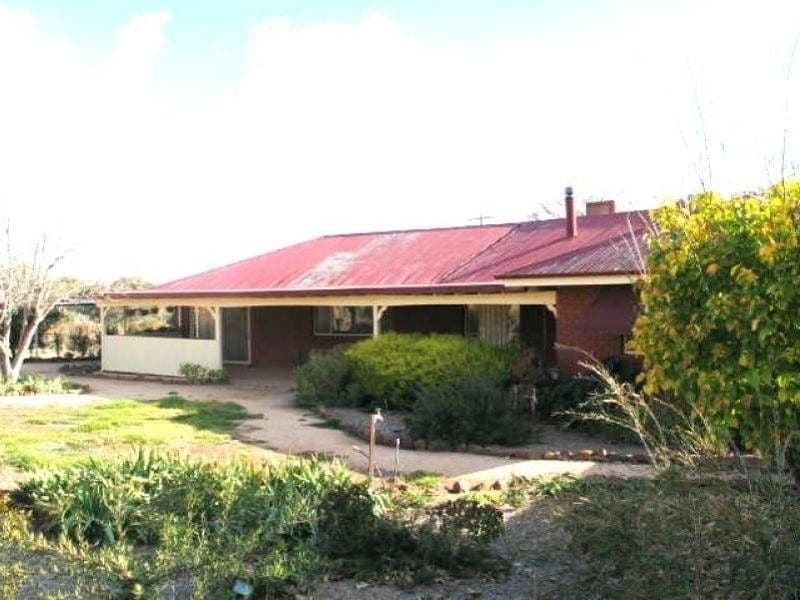 CUDAL NSW, Cudal - Image 1