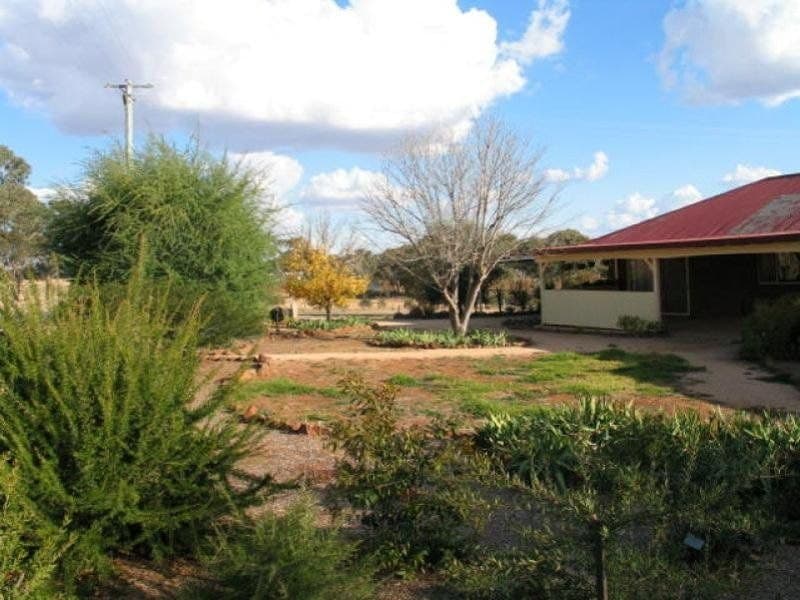 CUDAL NSW, Cudal - Thumbnail 2