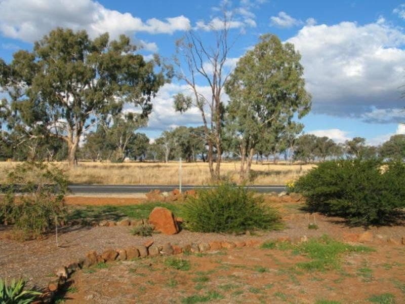 CUDAL NSW, Cudal - Thumbnail 7