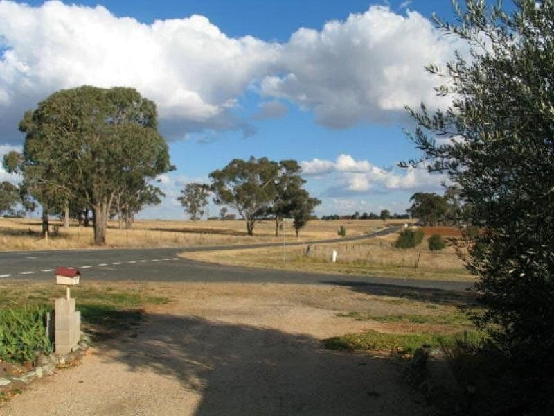 CUDAL NSW, Cudal - Thumbnail 8