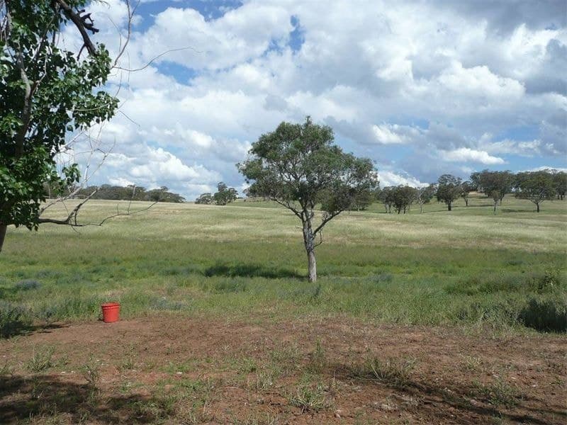 ORANGE NSW, Orange - Thumbnail 6