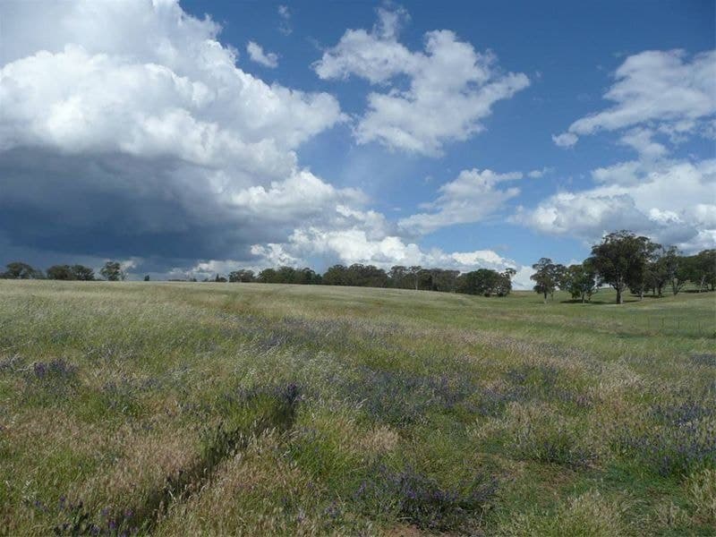ORANGE NSW, Orange - Thumbnail 7