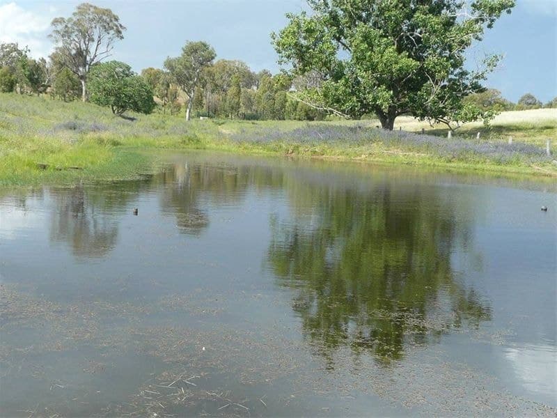 ORANGE NSW, Orange - Thumbnail 8
