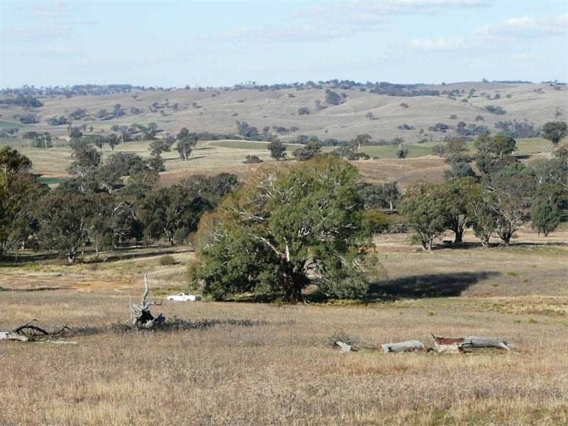 2187 Euchareena Road ORANGE NSW, Orange - Image 1