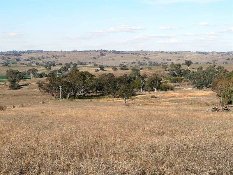 2187 Euchareena Road ORANGE NSW, Orange - Thumbnail 2