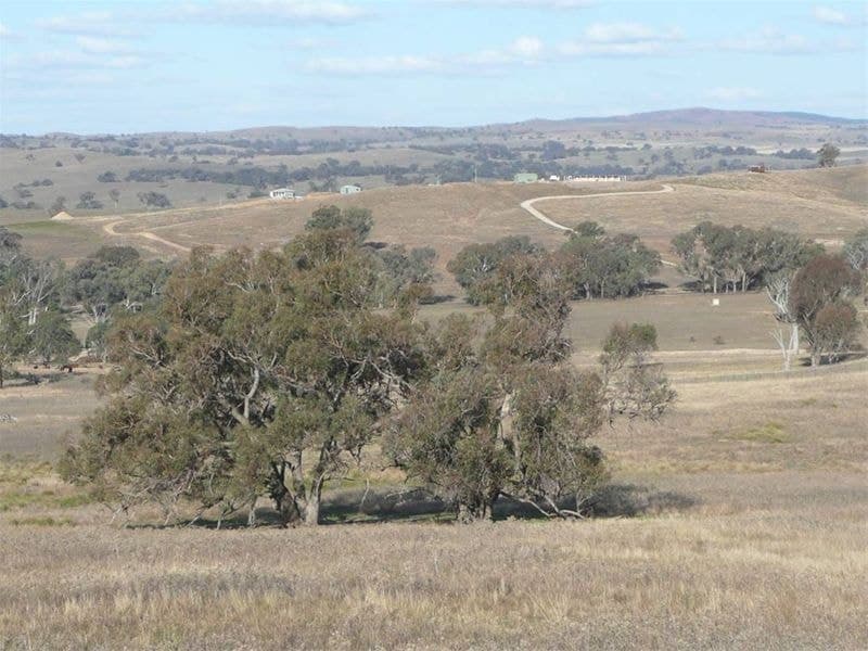 2187 Euchareena Road ORANGE NSW, Orange - Thumbnail 4