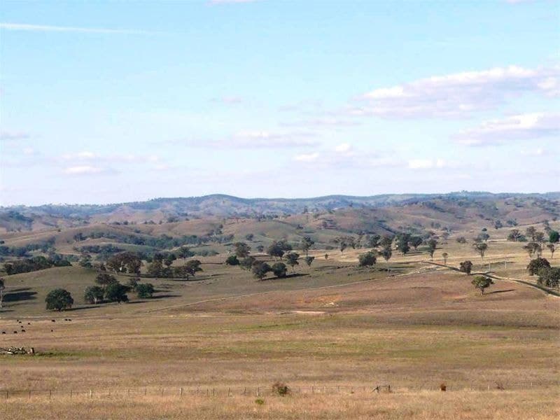 2187 Euchareena Road ORANGE NSW, Orange - Thumbnail 8
