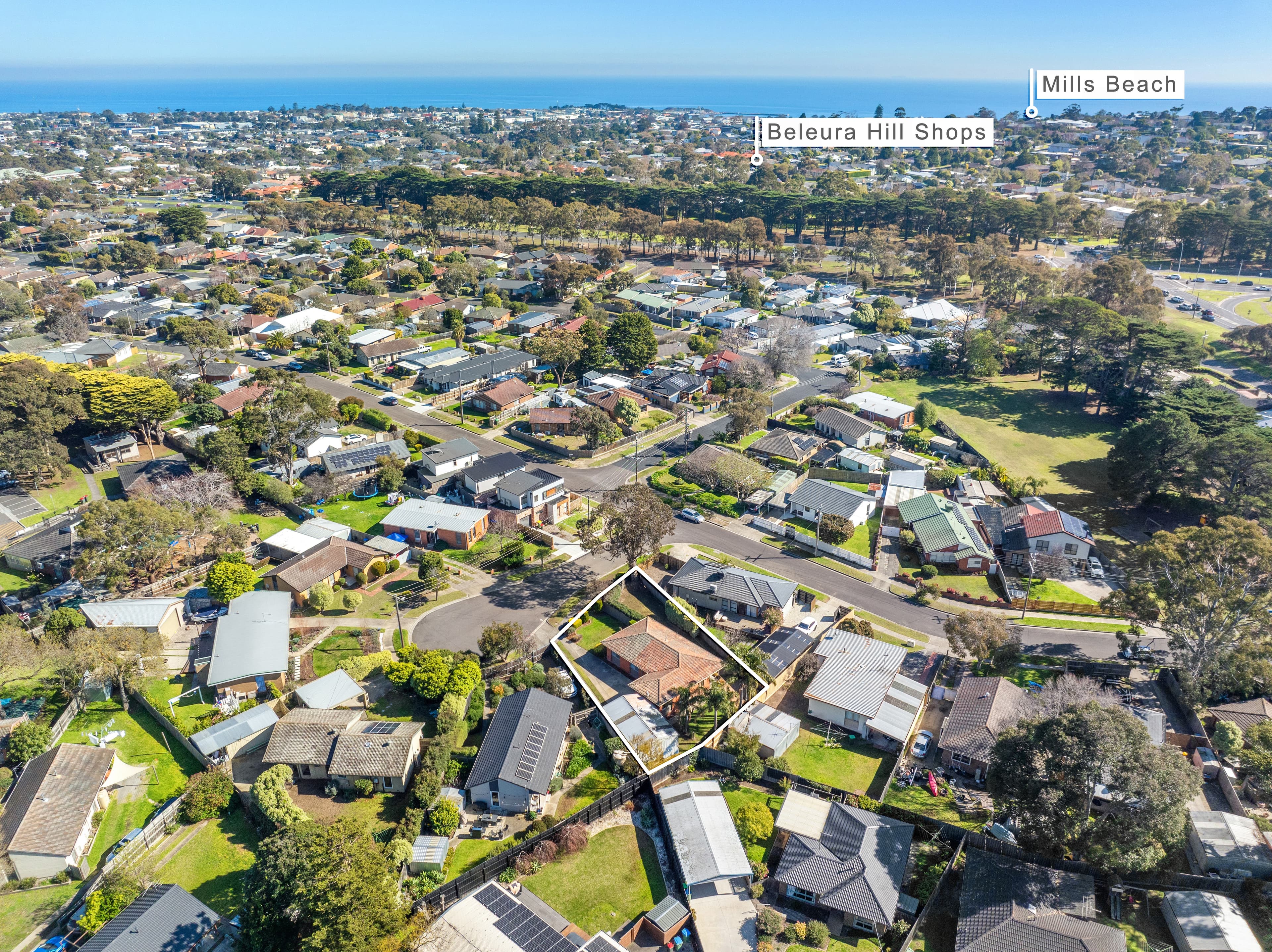 3 Griggs Court, Mornington, Mornington - Thumbnail 8