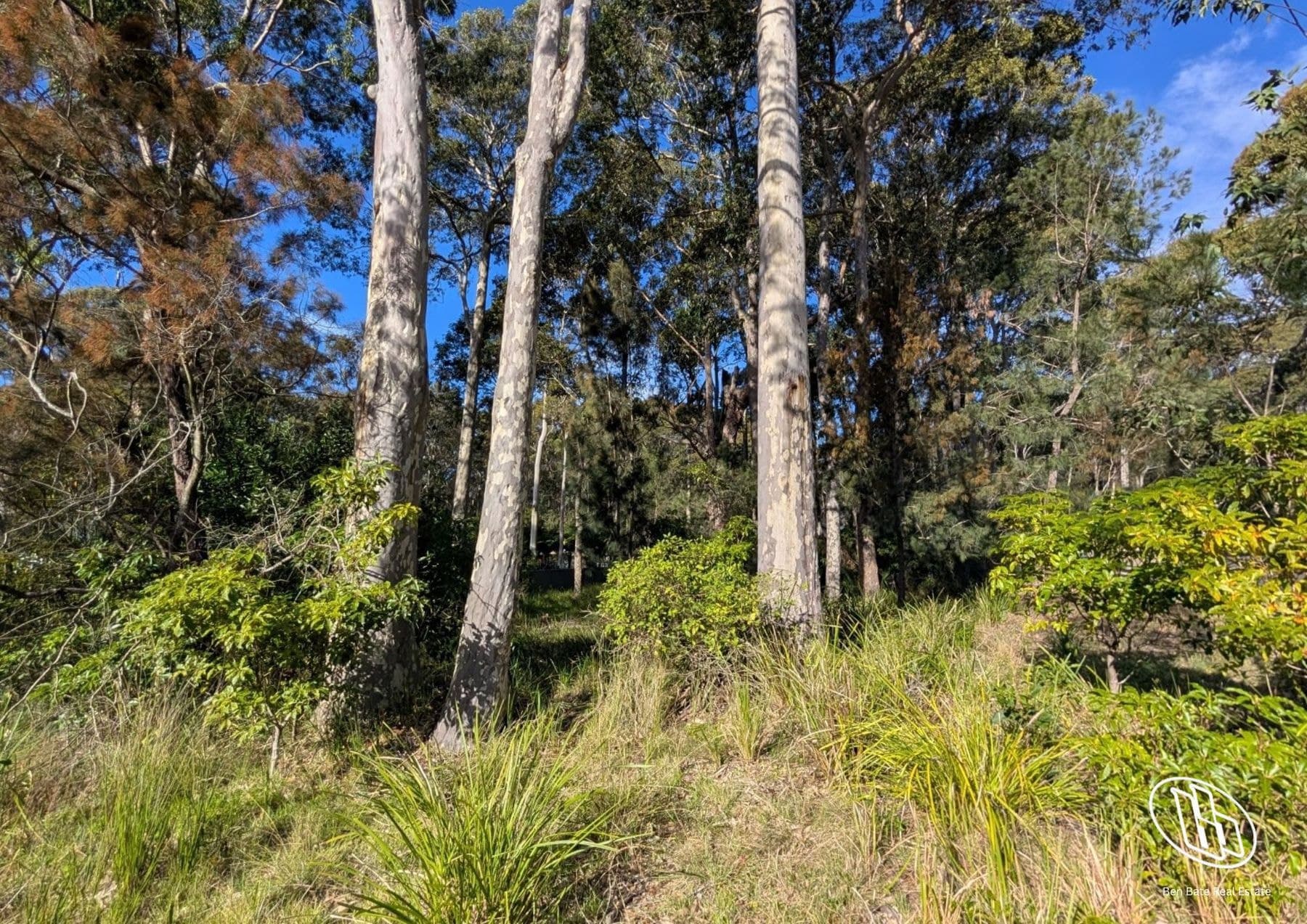 34 Lamont Young Drive, Mystery Bay, Mystery Bay - Thumbnail 5