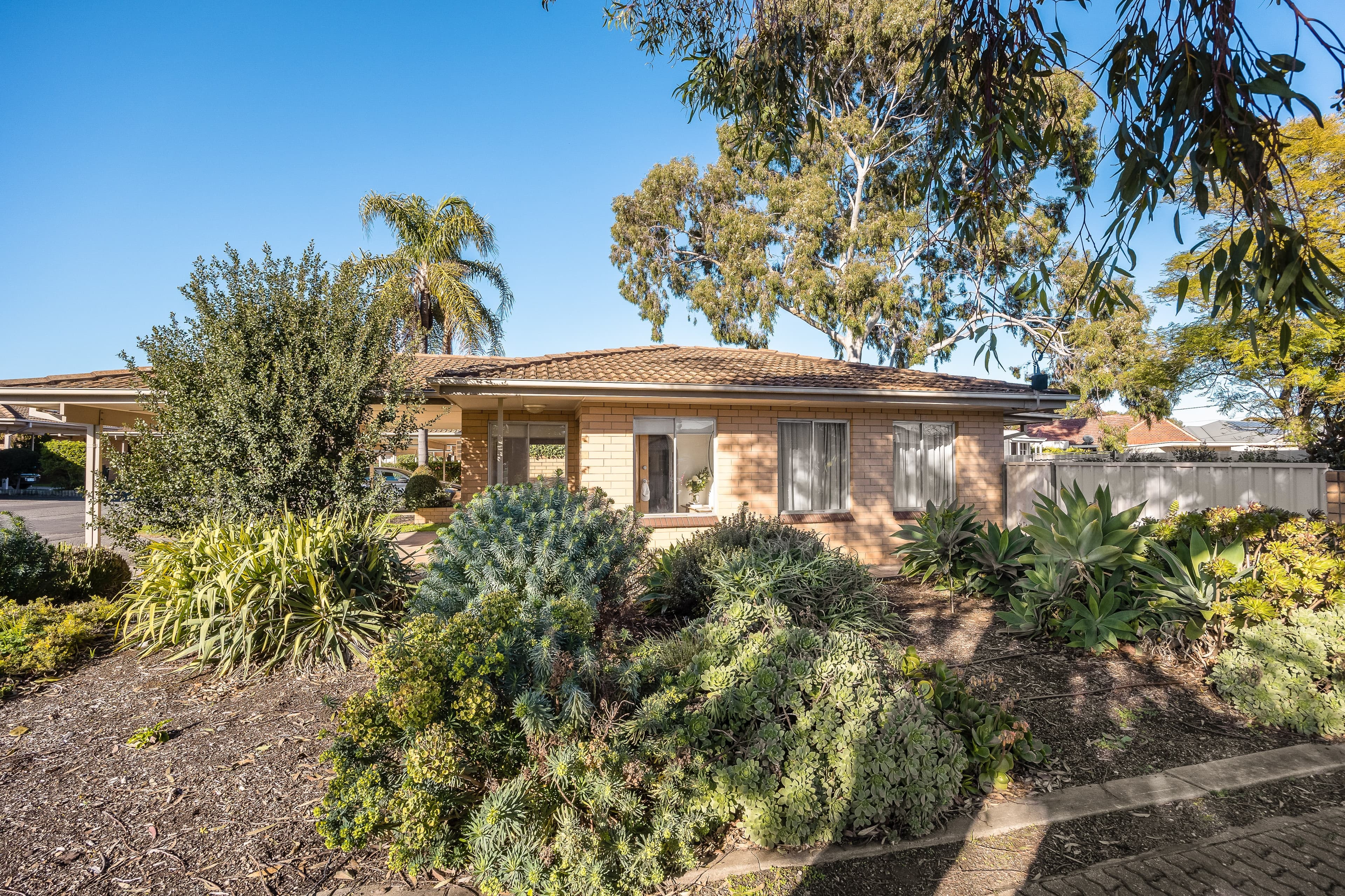 Unit 16/54-58 John Street, Payneham, Payneham - Thumbnail 6