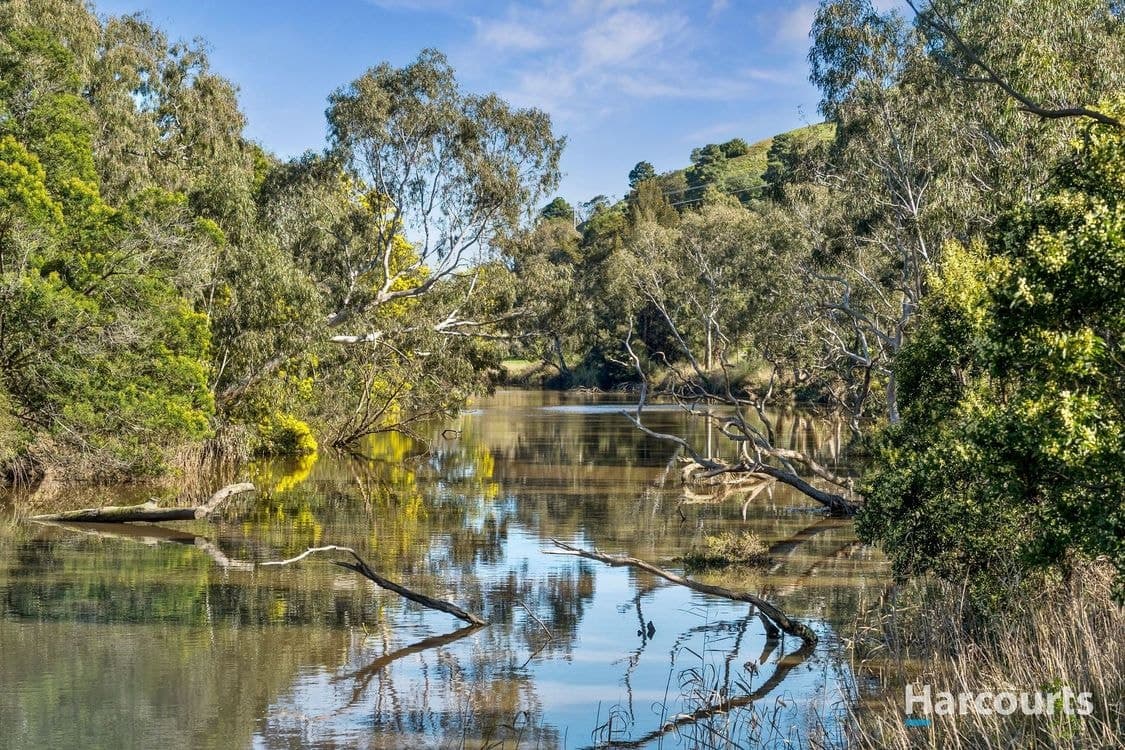 11 Marr Court, Fyansford, VIC 3218, Fyansford - Thumbnail 6