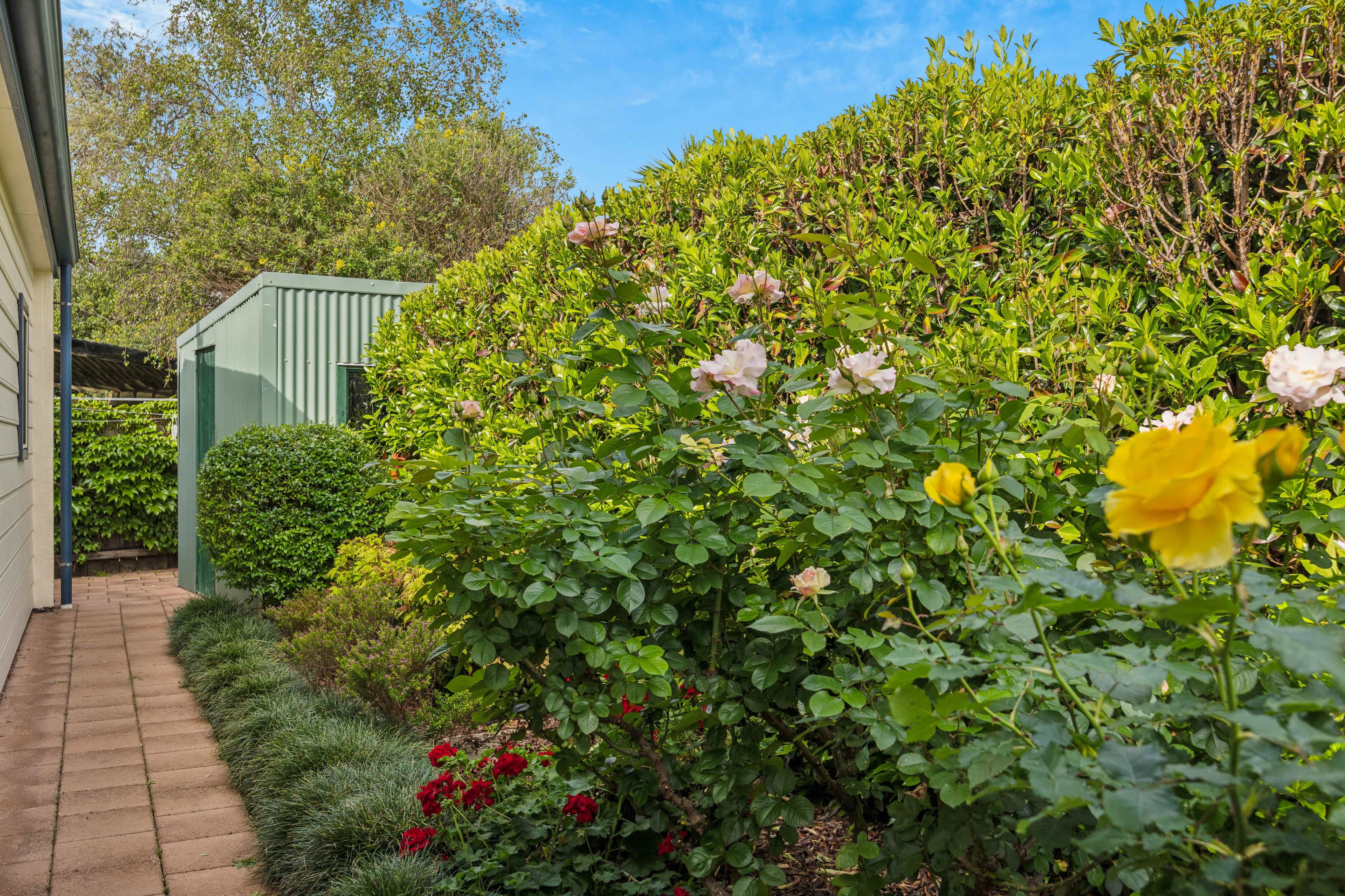 10 Matilda Street, Gilberton, Gilberton - Image 1