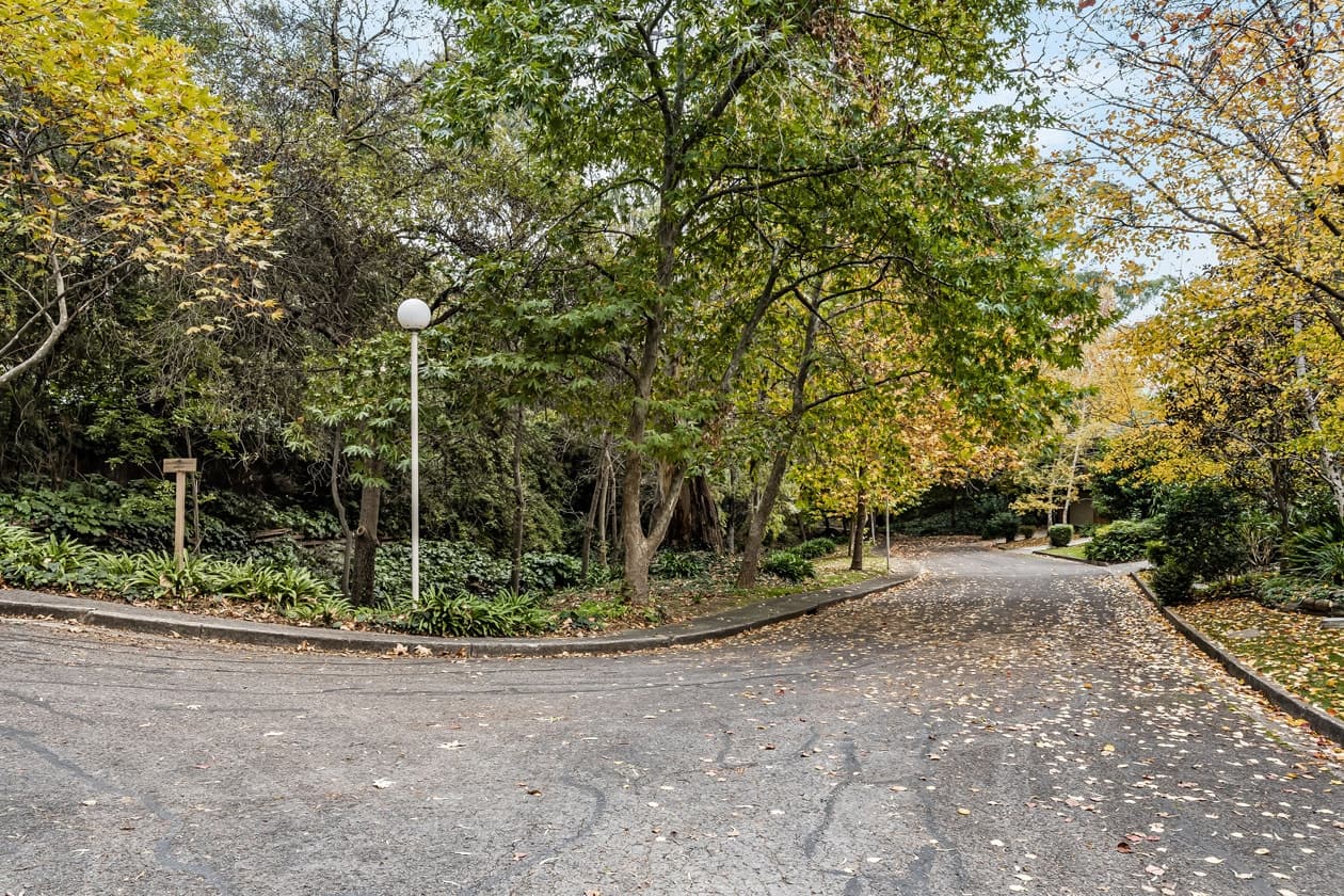 6 Park  Avenue, Urrbrae, Urrbrae - Thumbnail 5