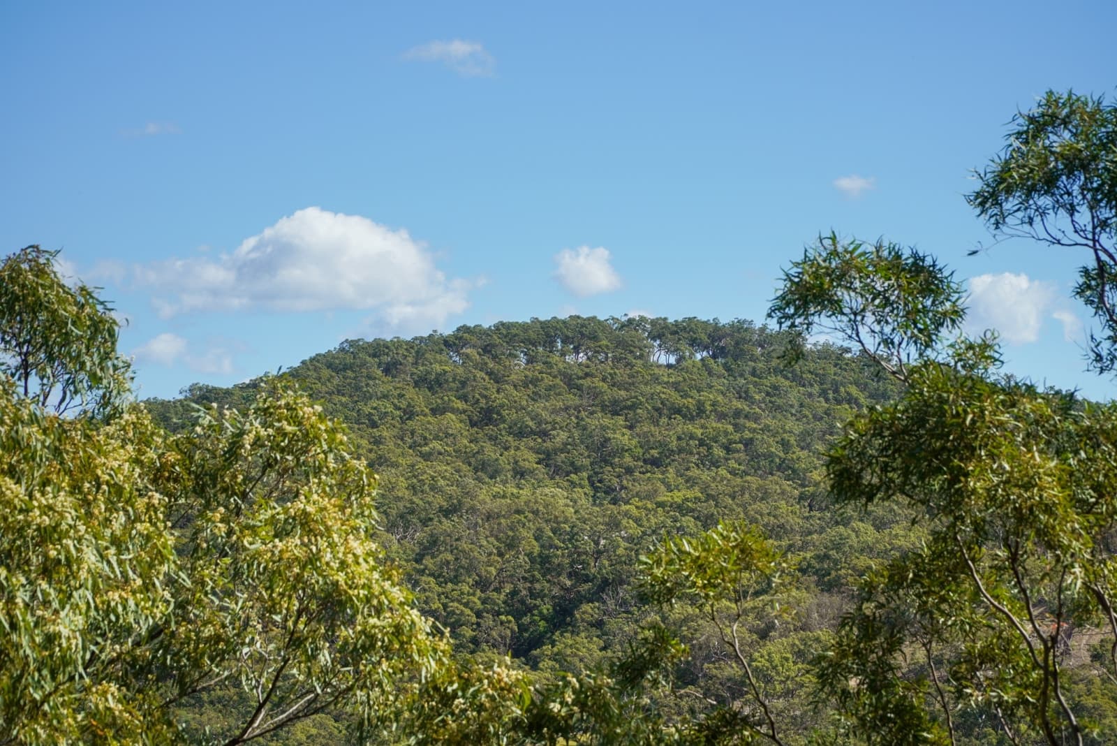 58 Seaspray Drive, AGNES WATER, Agnes Water - Thumbnail 3