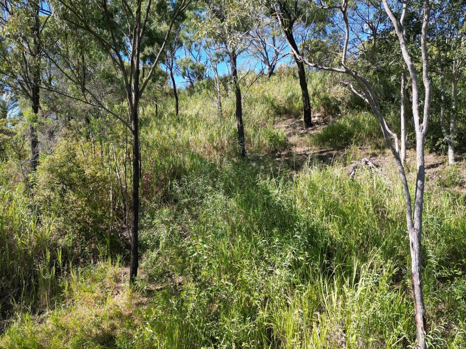 58 Seaspray Drive, AGNES WATER, Agnes Water - Thumbnail 5