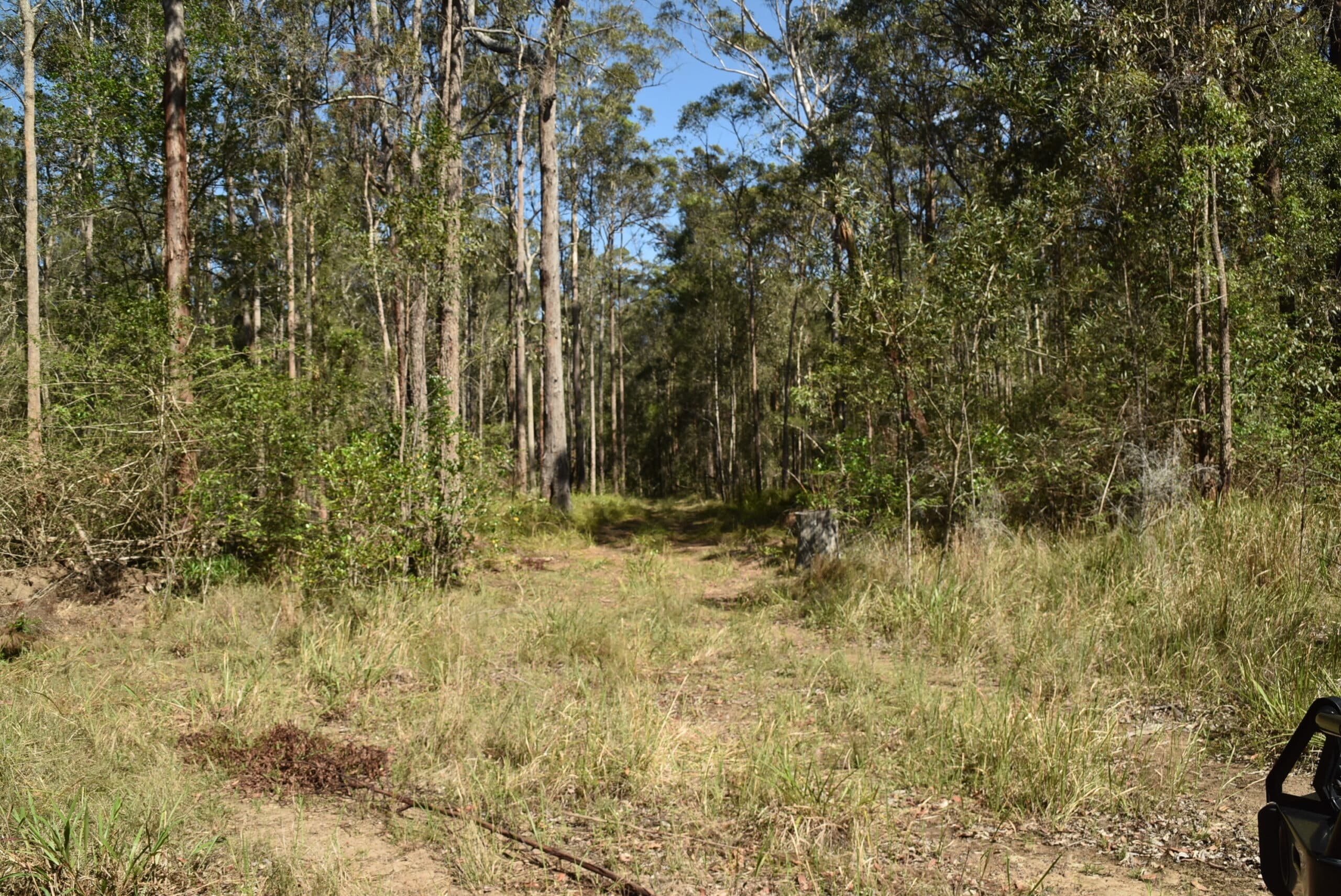 G_89 “ A WALLAMBA RIVER BLOCK “, Bulahdelah - Thumbnail 5
