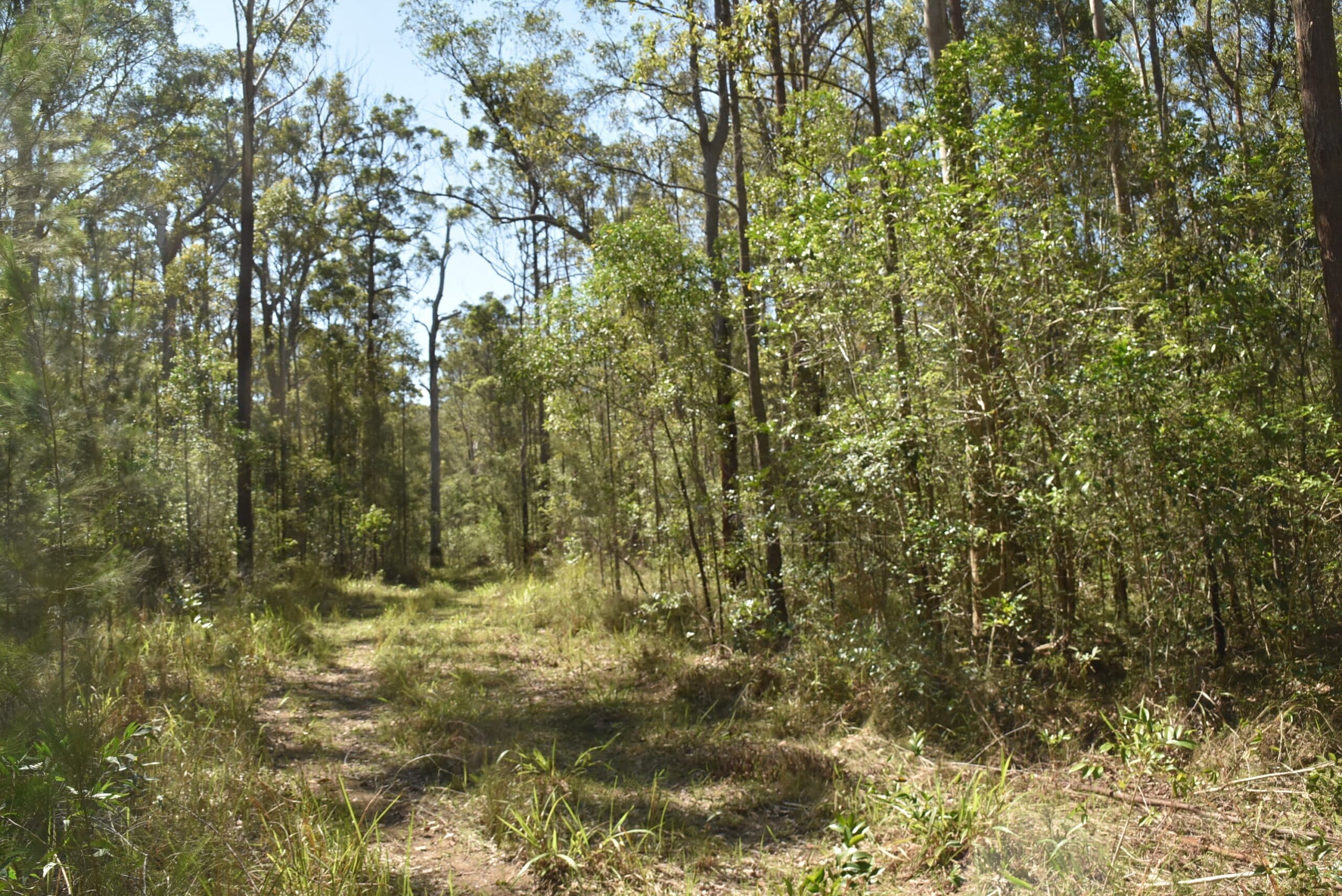 G_89 “ A WALLAMBA RIVER BLOCK “, Bulahdelah - Thumbnail 6
