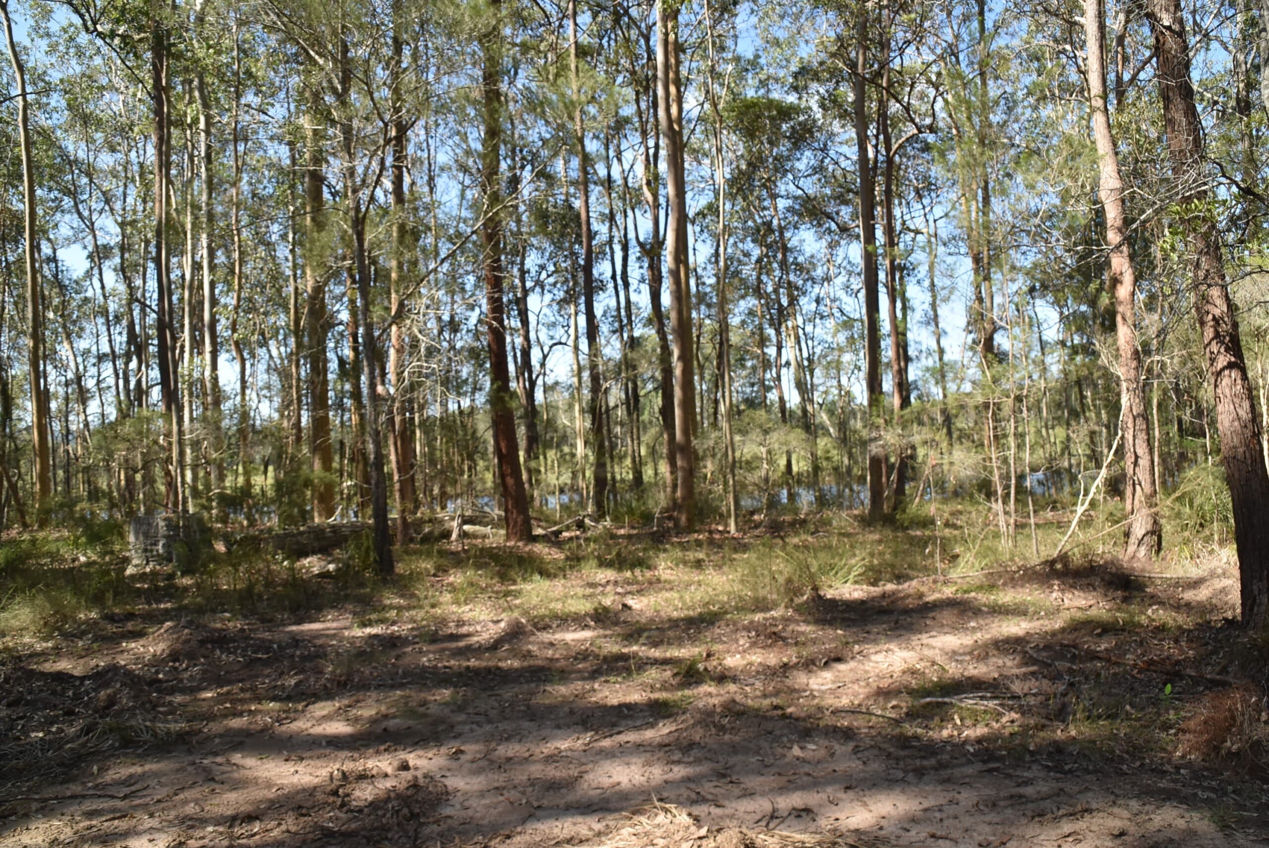 G_89 “ A WALLAMBA RIVER BLOCK “, Bulahdelah - Thumbnail 7