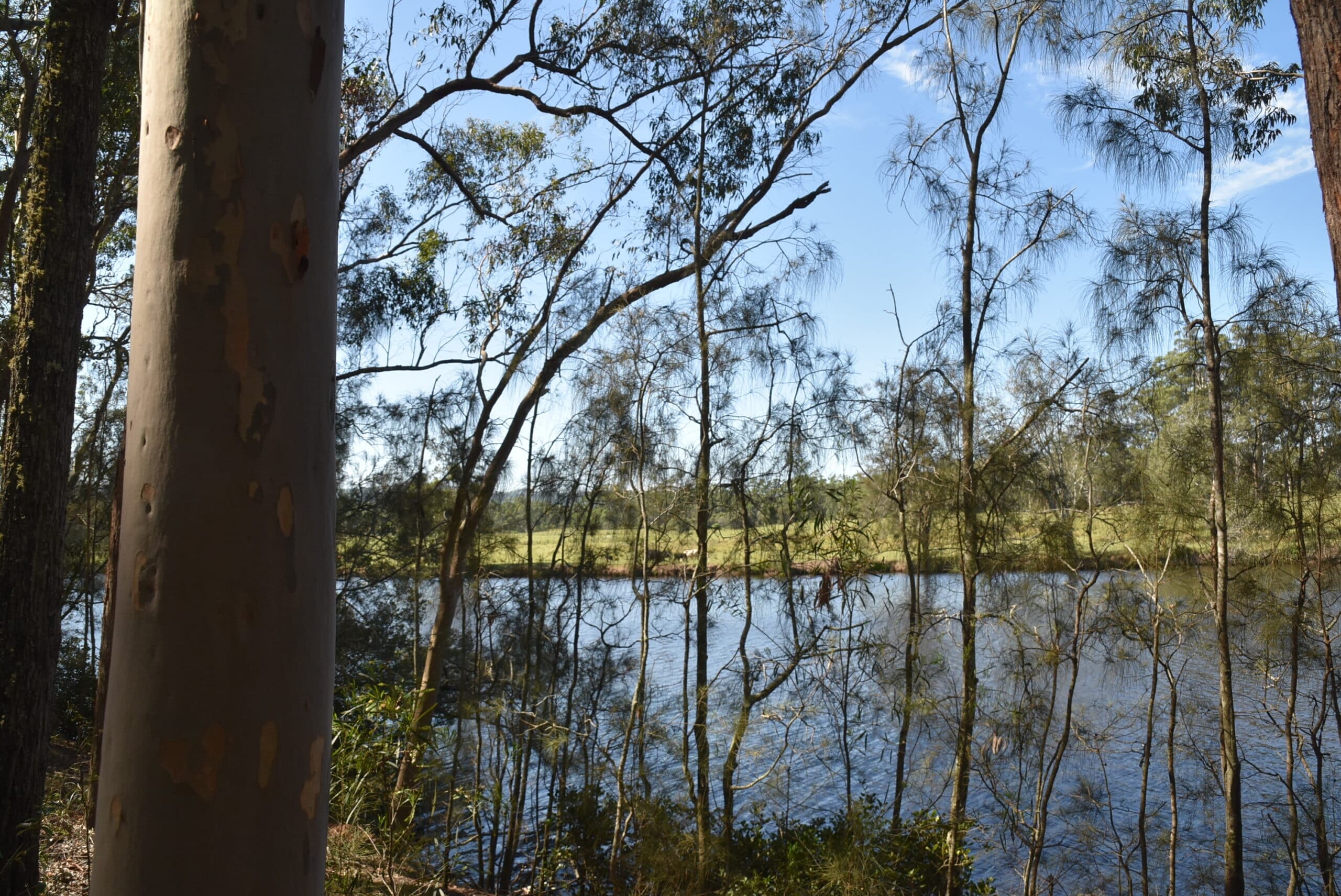 G_89 “ A WALLAMBA RIVER BLOCK “, Bulahdelah - Thumbnail 8
