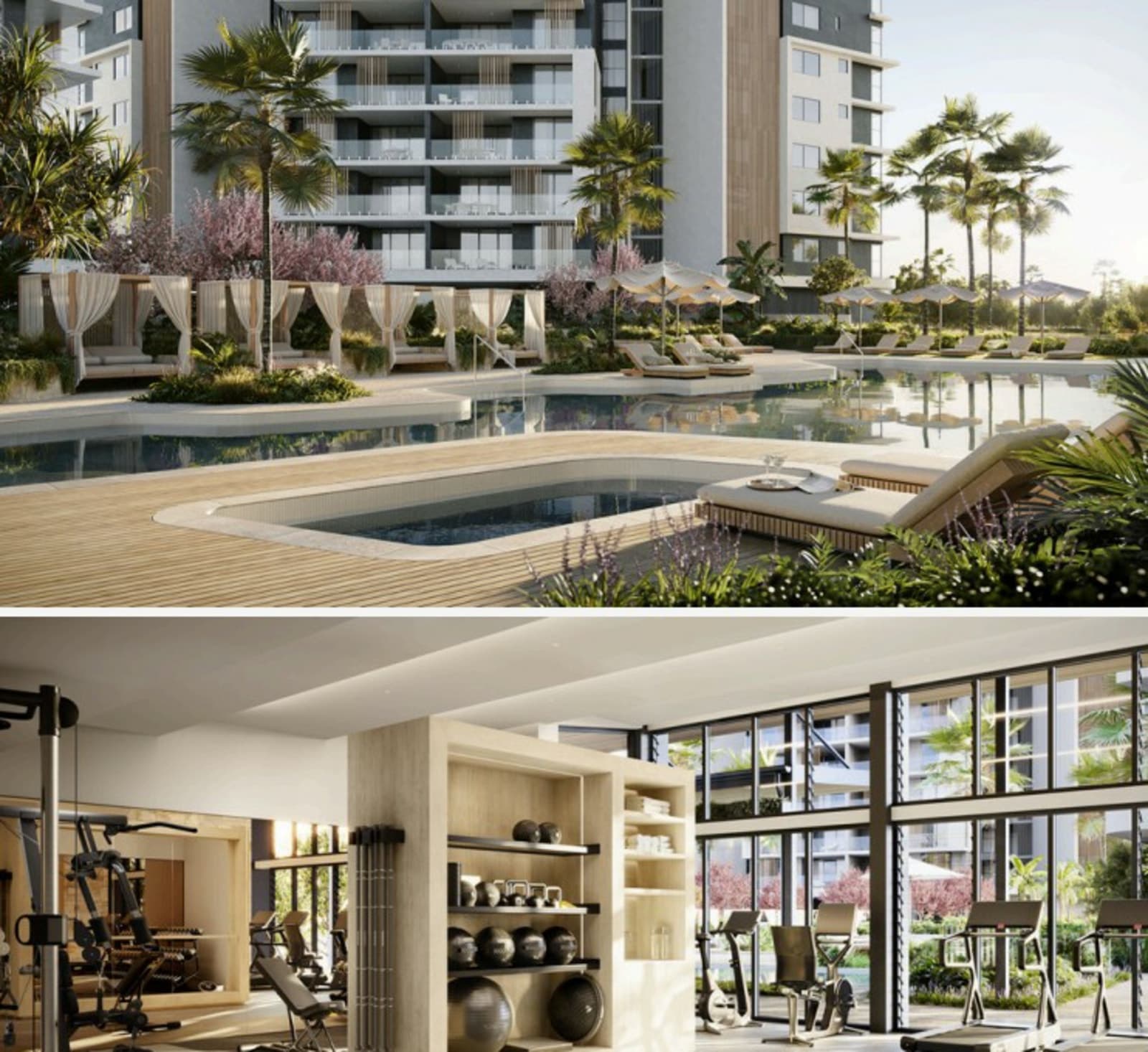 72 Viewline Terrace, HOPE ISLAND, Hope Island - Thumbnail 2