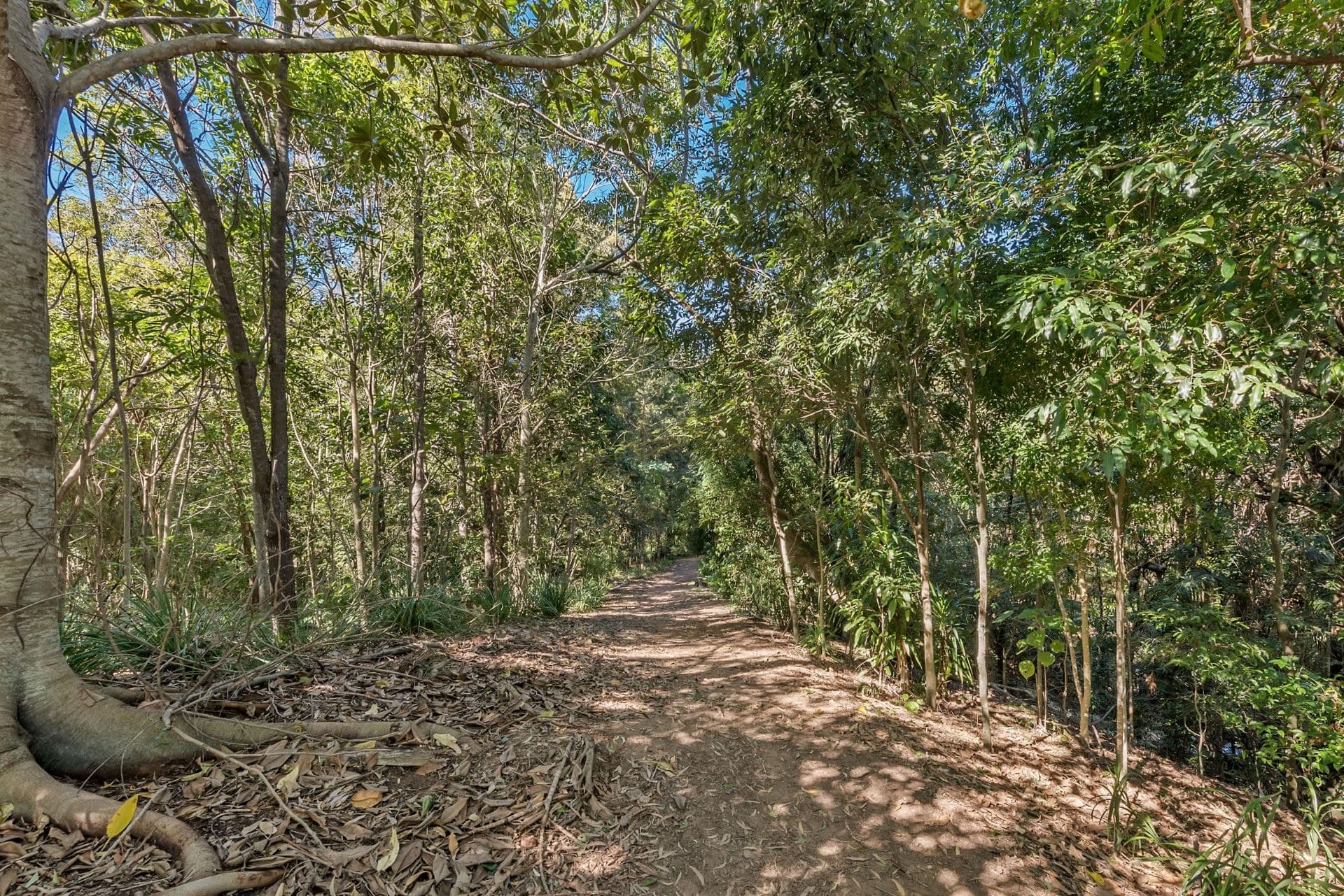 16 Allamanda Street The Gap, The Gap - Image 1