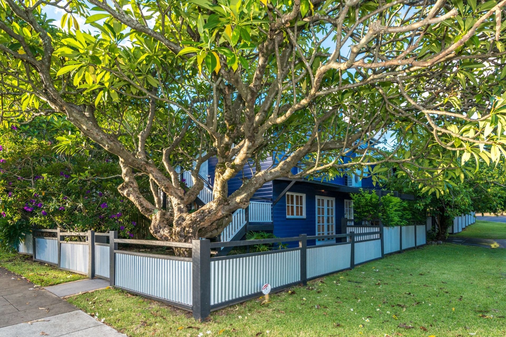 103 Baroona Road Paddington, Paddington - Thumbnail 2