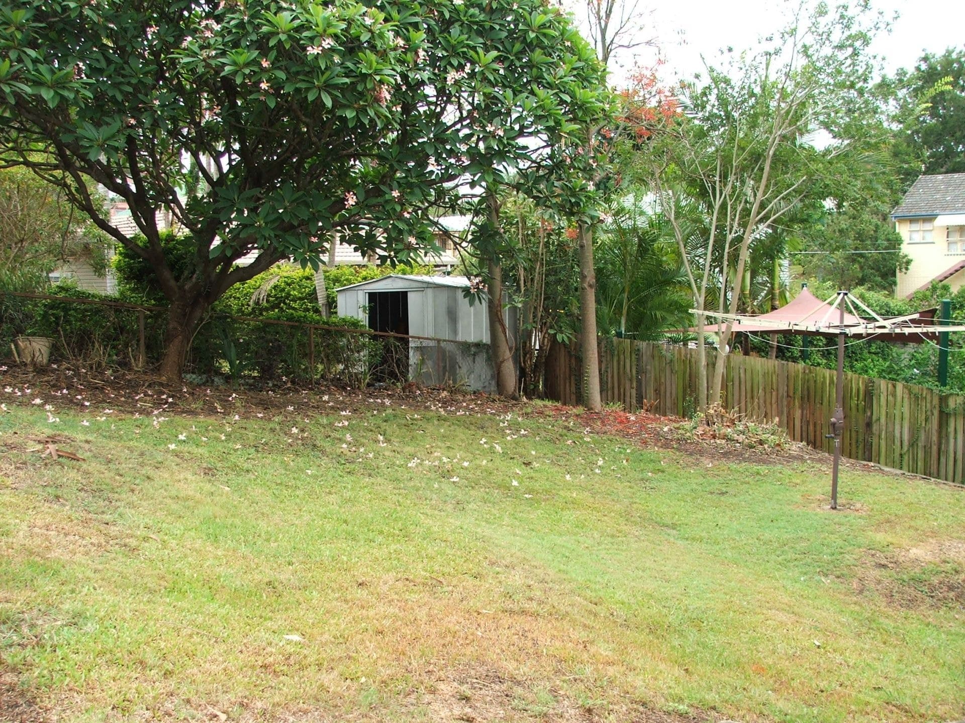 34 Moffat Street Milton, Milton - Thumbnail 6