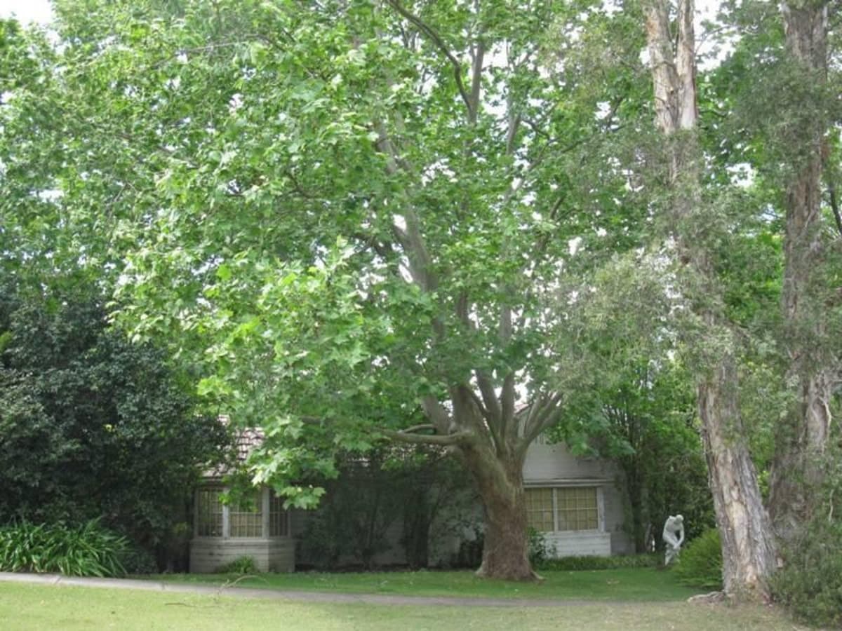 165 Rosedale Road, ST IVES, St Ives - Thumbnail 2
