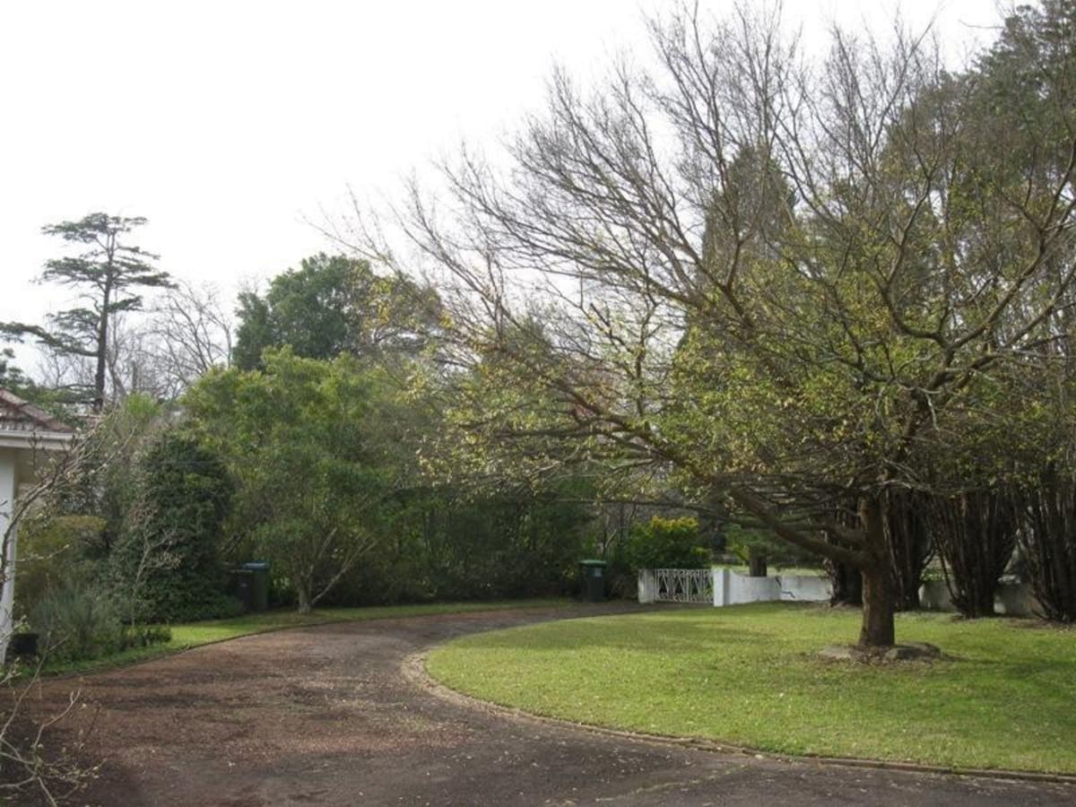 52-54 Grosvenor Street, WAHROONGA, Wahroonga - Thumbnail 2